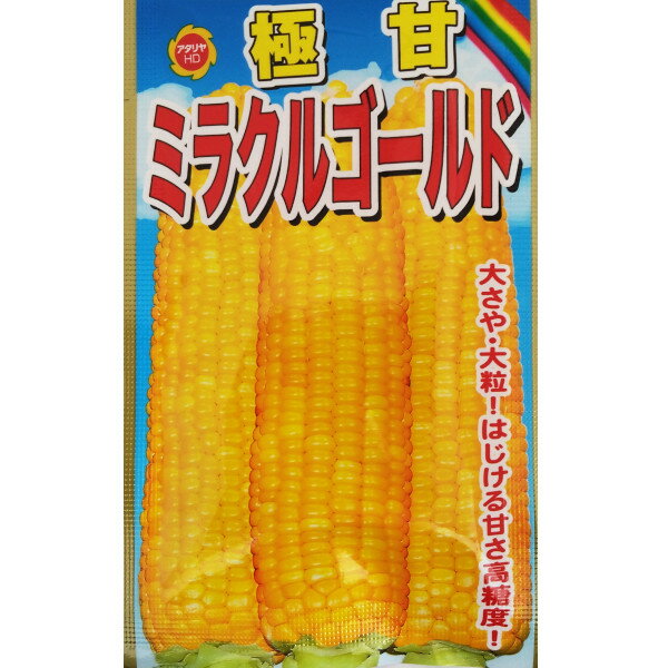 Rakuten - 【ネコポス可 6個まで】トウモロコシ　極甘　ミラクルゴールド【アタリヤ】