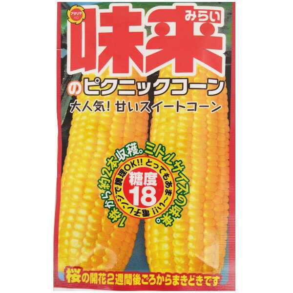 Rakuten - 【ネコポス可 6個まで】トウモロコシ　味来のピクニックコーン【アタリヤ】