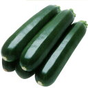 種【ズッキーニ】グリーンボート2号(100粒)【カネコ種苗】野菜 種子
