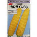 野菜 種【トウモロコシ】中早生　カロライン86 （2000粒）【渡辺採種場】【松島交配】種子