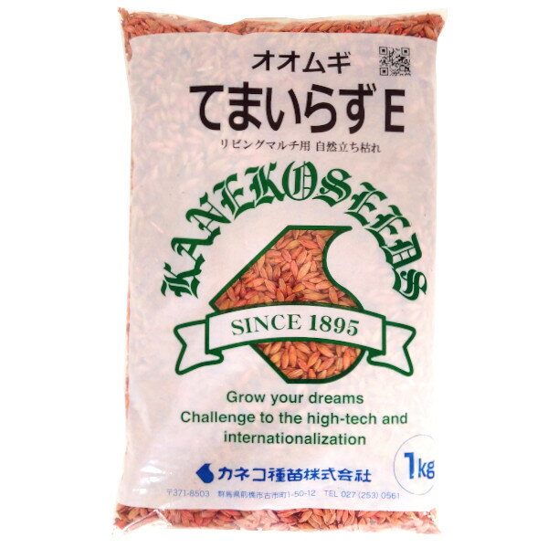 種【オオムギ】てまいらずE 1kg・5kg・10kg【カネコ種苗】緑肥　春まき　夏まき　種子