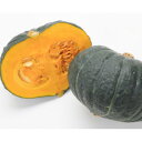 種【カボチャ】くじゅうくりEX (50粒・100粒・500粒・1000粒)【カネコ種苗】野菜の種 カボチャの種