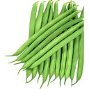 種【つるなしインゲン】ミール(1dl詰・1L粒詰)【カネコ種苗】野菜の種子 インゲン豆の種