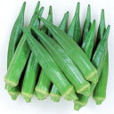 種【オクラ】ガリバー (20ml詰・1dl詰・1L詰)【カネコ種苗】野菜の種子 オクラの種