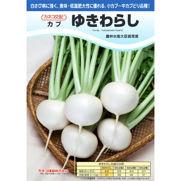 種【カブ】ゆきわらし（20ml詰・1dl詰・ペレット種子5000粒）【カネコ種苗】野菜 種子 カブの種