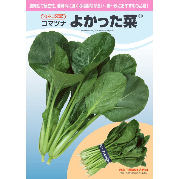 特性 ●色は濃くて光沢抜群、極立性コマツナ ●草姿は極立性で葉先までしっかりと立つので、葉のからみが少なく、収穫、結束作業が容易で、荷姿も非常にきれいです。 ●葉色は濃緑色で、葉身、葉柄ともに光沢があるので、ハウス栽培や寒冷紗トンネル栽培でも葉色が映えます。 ●葉軸がしっかりしており、株張りが良いので、ボリューム感があり収量性が高いです。 ●葉肉が厚く、葉軸も太いので、しおれに強く店持ちが良いです。 商品名 よかった菜 数量 20ml詰・2dl詰・1L詰・ペレット5千粒詰 生産地 - 発芽率 - 備考 - 注意事項 ※パッケージや生産地は予告無しに変更になる場合がございます。 農作物商品の特性上、販売時期により内容量が変更になる場合がございます。（内容量が増減よる価格の変更はございません。） あらかじめご了承いただいた上で、ご注文をお願いいたします。 種子と責任 ●高純度の種子のご提供に努めて参りますが、種子はその本質上、100％の純度は望めません。 ●播種後の栽培条件、天候等により、その結果が異なることがありますので、結果不良の場合でも、補償はお買上代金の範囲内とさせていただきます。 ●播種作業の省力化のため種子加工（シードテープ、ペレット等）を業者に依頼される場合は、発芽検査等を実施し、確認後加工するようお願い致します。 ●独自に加工された場合やお届け後に有効期限を超えられたものについては責任を負いかねますのでご了承願います。