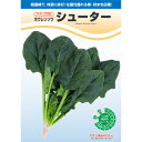 種【ホウレンソウ】シューター(プライミング処理M3万粒)【カネコ種苗】野菜 種子 ほうれん草 の種