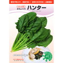 種【ホウレンソウ】ハンター(プライミング処理M3万粒)【カネコ種苗】野菜 種子 ほうれん草 の種