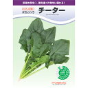 種【ホウレンソウ】チーター(プライミング処理M3万粒)【カネコ種苗】野菜 種子 ほうれん草 の種