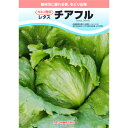 種【レタス】チアフル(ペレット5千粒詰)PVP商品【カネコ種苗】野菜 種子 レタスの種