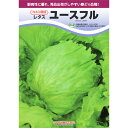 種【レタス】ユースフル(ペレット5千粒詰)PVP商品【カネコ種苗】野菜 種子 レタスの種