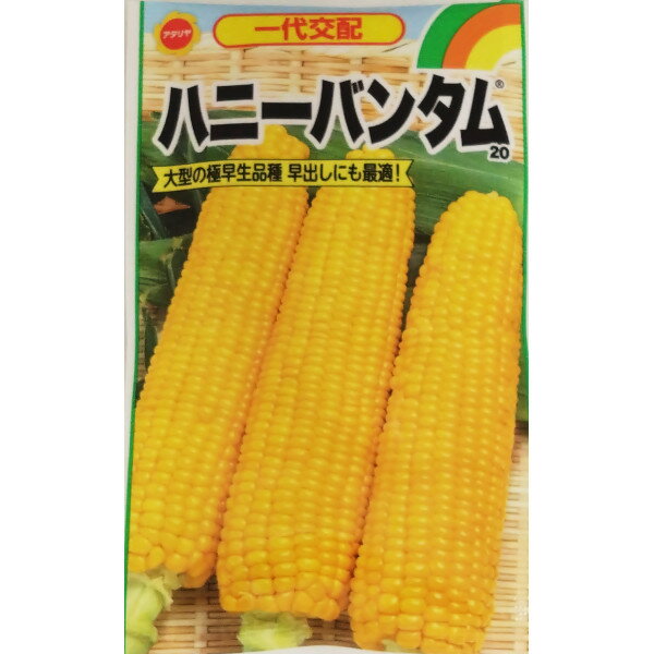 【ネコポス可 6個まで】トウモロコシ　ハニーバンダム【アタリヤ】のサムネイル