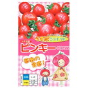 種【ミニトマト】ピンキー(小袋 15粒・500粒)【ナント種苗】野菜 種子 トマトの種