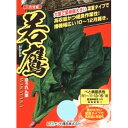 種【ホウレンソウ】若鷹(小袋 15ml・中袋 80ml・コート種子M3万粒)【ナント種苗】野菜 種子 ほうれん草の種