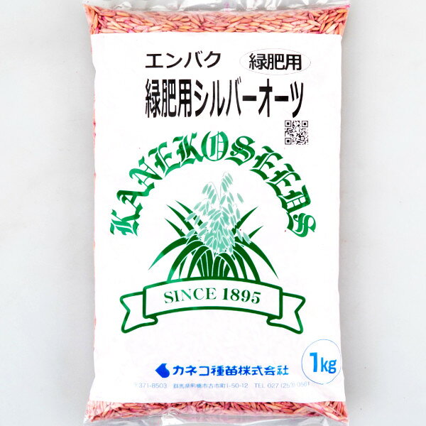 ＜1kg / 20kg＞牧草種子【エンバク】緑肥用 シルバーオーツ【カネコ種苗】 緑肥用