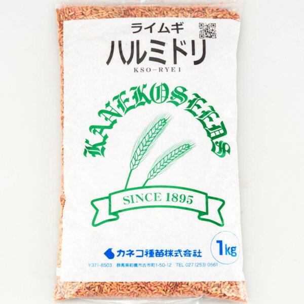 用途 ・サイレージ　◎　 ・青刈り　◎　 ・乾草　◎　 ・耐寒性　〇　 特性 ●ロールベール、乾草にも好評、草生栽培、緑肥利用にも ●極早生種です。 ●耐寒、耐雪性に優れ、雪腐病に強い極早生種で、ライムギの代名詞です。 ●果樹園草生栽培、野菜の連作障害回避、冬～春期の風塵防止対策に有効です。 ●春先の出穂が早いため、後作の準備・播種を余裕を持って行えます。 ●出穂後、硬くなり、嗜好性が低下しやすいので、出穂始期には刈り取るようにします。 播種量 6～8kg／10a 播種期 秋播き　9～11月 商品名 ハルミドリ（極早生） 品種 ライムギ 注意事項 ※パッケージや生産地は予告無しに変更になる場合がございます。 ※本種子を、食用や家畜の飼料用に使用しないでください。 ※小児の手の届かない所に保管してください。 種子と責任 ●高純度の種子のご提供に努めて参りますが、種子はその本質上、100％の純度は望めません。 ●播種後の栽培条件、天候等により、その結果が異なることがありますので、結果不良の場合でも、補償はお買上代金の範囲内とさせていただきます。 ●播種作業の省力化のため種子加工（シードテープ、ペレット等）を業者に依頼される場合は、発芽検査等を実施し、確認後加工するようお願い致します。 ●独自に加工された場合やお届け後に有効期限を超えられたものについては責任を負いかねますのでご了承願います。