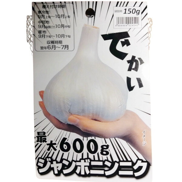 楽天市場】ジャンボ 生にんにくの通販