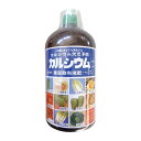 アミノール化学研究所 カルシウム欠乏予防 カルシウムエキス 1.4kg