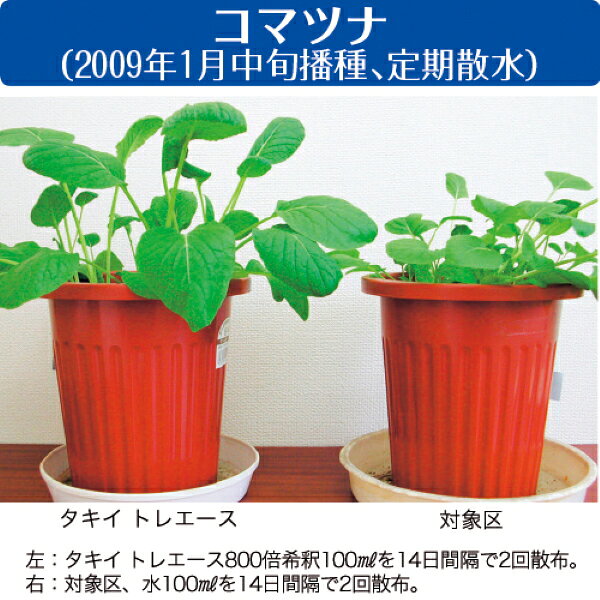 タキイ　トレエース　500g　トレハロース入り微量要素肥料　寒害・霜害対策/萎れ軽減/鮮度保持