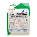 ブラシントレボン粉剤DL　3kg