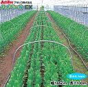 アキレス 農POフィルム ハイベールEX 厚さ0.1mm 幅185cm 長さ100m(原反) ビニールハウス外張りフィルム