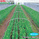 アキレス 農POフィルム ハイベールEX 厚さ0.1mm 幅200cm 長さ100m(原反)ビニールハウス外張りフィルム