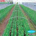 農POフィルム ハイベールEX 厚さ0.1mm 幅300cm 希望の長さ(m)を数量で入力