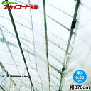 ハウス内張り専用農業用POフィルム スカイコート防霧 有孔タイプ 厚さ0.05mm 幅370cm 希望の長さ(m)を数量で入力