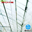 ハウス内張り専用農業用POフィルム スカイコート防霧 有孔タイプ 厚さ0.075mm 幅400cm 希望の長さ(m)を数量で入力