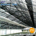 遮光ネット 遮光網 ダイオネット 1010 黒 巾200cm×長さ50m 遮光率65〜70%