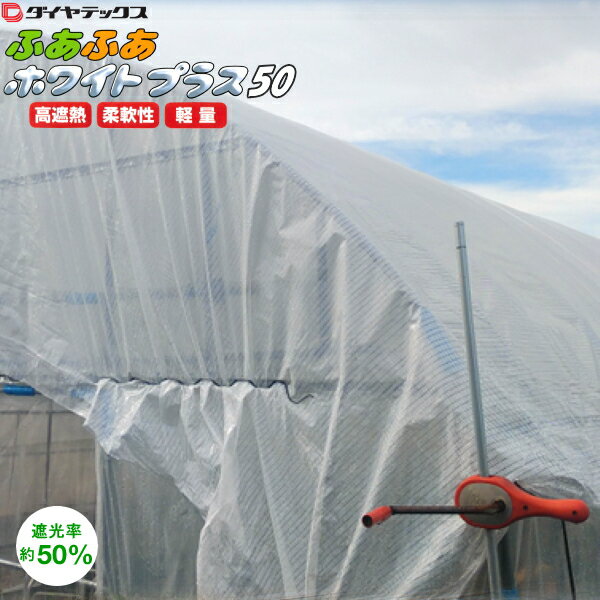 三方良し 遮光ネット 6m×30m 遮光率85% [農業用遮光シート 農業資材 農業用品 園芸用品 日よけ 農業用ネット] 遮光 網 ネット 農業用 日け ビニールハウス 折りたたみ ラッセル網 熱対策 ラッセル 日よけ ガーデニング 家庭菜園 園芸用 ベランダ 園芸ネット