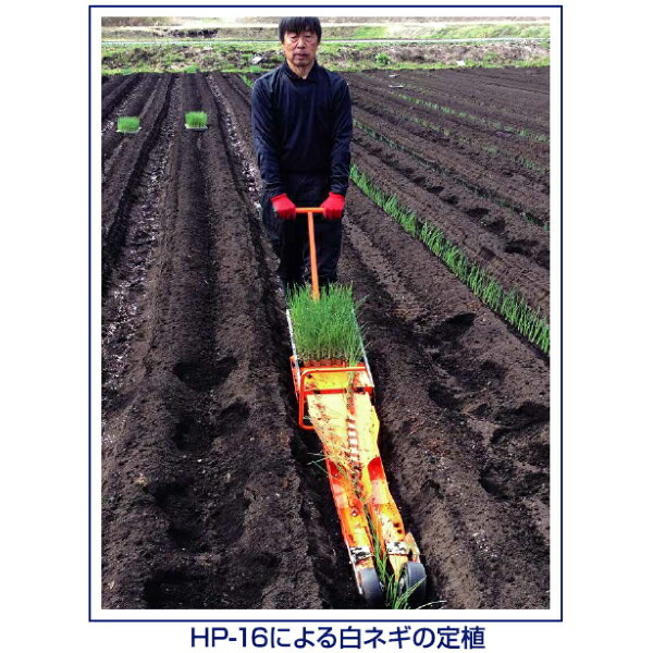 ニッテン　チェーンポット簡易移植機　ひっぱりくん　HP-16　溝切深さ 53mm　CP253...