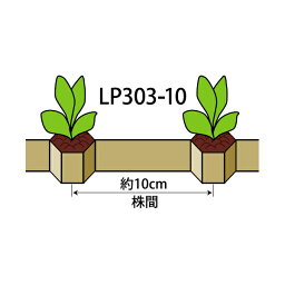 ニッテン　ロングピッチチェーンポット　LP303-10　径3cm×高3cm　株間10cm　穴数264　1冊　青ネギ キク 花き類