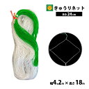 きゅうりネット白緑 4.2m×18m 目合24cm