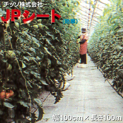 メーカー：チッソ(日祥)株式会社 JPシート (防草シート) 　＜防草効果で草刈・除草剤不要　多目的用途で効果を発揮＞ ■特徴 ●遮光率が高いので、防草効果・雑草抑制効果に優れます。 ●水はけがよく(透水性が高い)、ぬかるみ難いので足回りを綺麗に保てます。 ●潅水時、土の跳ね返り防止に役立ちます。 ●同タイプの他社製品と比較して、網目が細かくしっかり編み込まれているため 　カットした際などほつれ難いです。 ●耐候性に優れ、丈夫で長持ちします。 　(※耐候年数等はご使用環境により変化します。) ●15cm間隔でラインが入っているので、育苗・ポット・鉢栽培等の配列に便利です。 ●ネットやストッパーは金属ではないので、ケガの心配もありません。 ●汚れても水洗いで綺麗になります。(※白は若干草が生える場合がございます。) 幅（cm） 長さ（m） カラー 100 100 白 ■使用例 ●こちらの商品はメーカー直送商品のため、お支払方法は「クレジットカード」又は 「銀行振込」でお願いいたします。代金引換でのお支払いはご利用できませんので 　ご注意ください。 ※システム上ご注文画面では代金引換が選択できてしまいますが、選択いただいても 　クレジットカードまたは銀行振込へお支払方法を変更していただくことになります。 ●メーカー直送/送料無料商品となりますが、下記の地域は無料対象外となります。 ※北海道・沖縄・離島の場合、別途送料をちょうだいしております。 　送料につきましては、事前にお問い合わせくださいませ。 ●通常、発送まで3~5営業日程度(※土日・祝日を除く)お時間をいただいております。 　ご注文後の色・サイズ・数量の変更やキャンセルはお受けできません。 　ご注文の際は、間違いがないようにご注意ください。 ※メーカー直送品につき、配送日時指定はお受けできません。予めご了承ください。 ●他の商品と同梱発送不可となります。 　お手数ですが、他の商品は必ず別にご注文手続きくださいますようよろしくお願いいたします。 ※他の商品を一緒にご注文された場合、受注処理を進めることができなくなり納期が遅れてしまう 　場合がございますのでご注意ください。 ●農繁期や季節によっては、メーカー在庫切れや出荷遅延等不測の事態が生じる場合が 　稀にございます。予定よりもお時間がかかる場合は、その旨ご連絡いたします。 ●ご使用予定に十分時間の余裕を持ってご注文くださいますようお願いいたします。 詳細につきましてはメーカー製品サイトでご確認くださいませ ⇒≪日祥(チッソ)株式会社≫ Powered by EC-UP