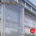 日祥防虫ネット キラ虫ネット E1010 目合い1mm 巾150cm×長さ100m