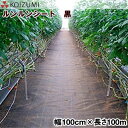 KOIZUMI (小泉製麻) 防草シート ルンルンシート 黒 幅100cm×長さ100m