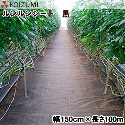 KOIZUMI 小泉製麻 防草シート ルンルンシート 黒 幅150cm 長さ100m