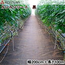 KOIZUMI (小泉製麻) 防草シート ルンルンシート 黒 幅200cm×長さ100m