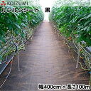 KOIZUMI (小泉製麻) 防草シート ルンルンシート 黒 幅400cm×長さ100m (反物)