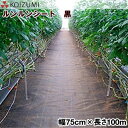KOIZUMI (小泉製麻) 防草シート ルンルンシート 黒 幅75cm×長さ100m