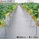 KOIZUMI (小泉製麻) 防草シート ルンルンシート 白黒 幅300cm×長さ100m (反物)