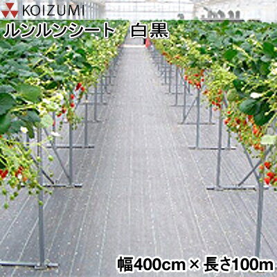 KOIZUMI 小泉製麻 防草シート ルンルンシート 白黒 幅400cm 長さ100m 反物 