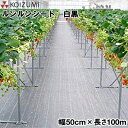 KOIZUMI (小泉製麻) 防草シート ルンルンシート 白黒 幅50cm×長さ100m