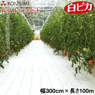 KOIZUMI 小泉製麻 防草シート ルンルンシート 白ピカ 幅300cm 長さ100m 反物 