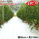 KOIZUMI (小泉製麻) 防草シート ルンルンシート 白ピカ 幅50cm×長さ100m