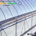 塗布型無滴散乱光農POフィルム 美サンラン アグリスター 厚さ0.1mm 幅230cm ご希望の長さを数量で入力してください (m単位でカット加工)