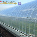 塗布型無滴農POフィルム イースターUVカット 厚さ0.1mm 幅150cm ご希望の長さを数量で入力してください (m単位でカット加工)