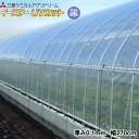 塗布型無滴農POフィルム イースターUVカット 厚さ0.1mm 幅270cm ご希望の長さを数量で入力してください (m単位でカット加工)