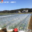 大倉工業 フィルムの画像